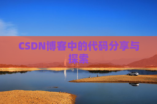 CSDN博客中的代码分享与探索