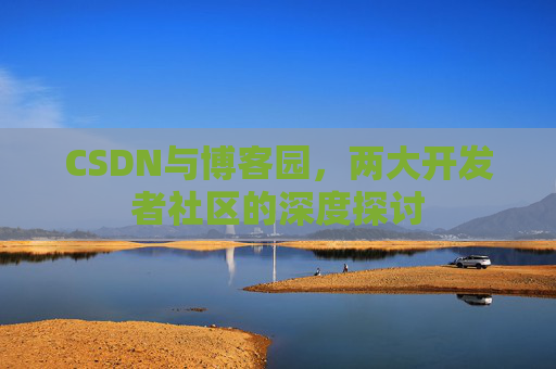 CSDN与博客园，两大开发者社区的深度探讨